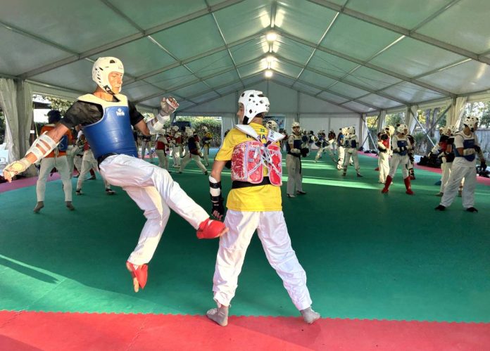 taekwondo 2